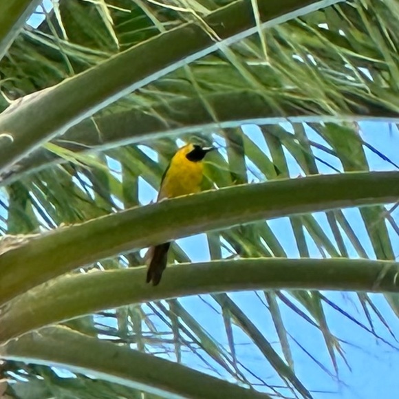 Meet your Posher, Anne - Picture 2 of 4